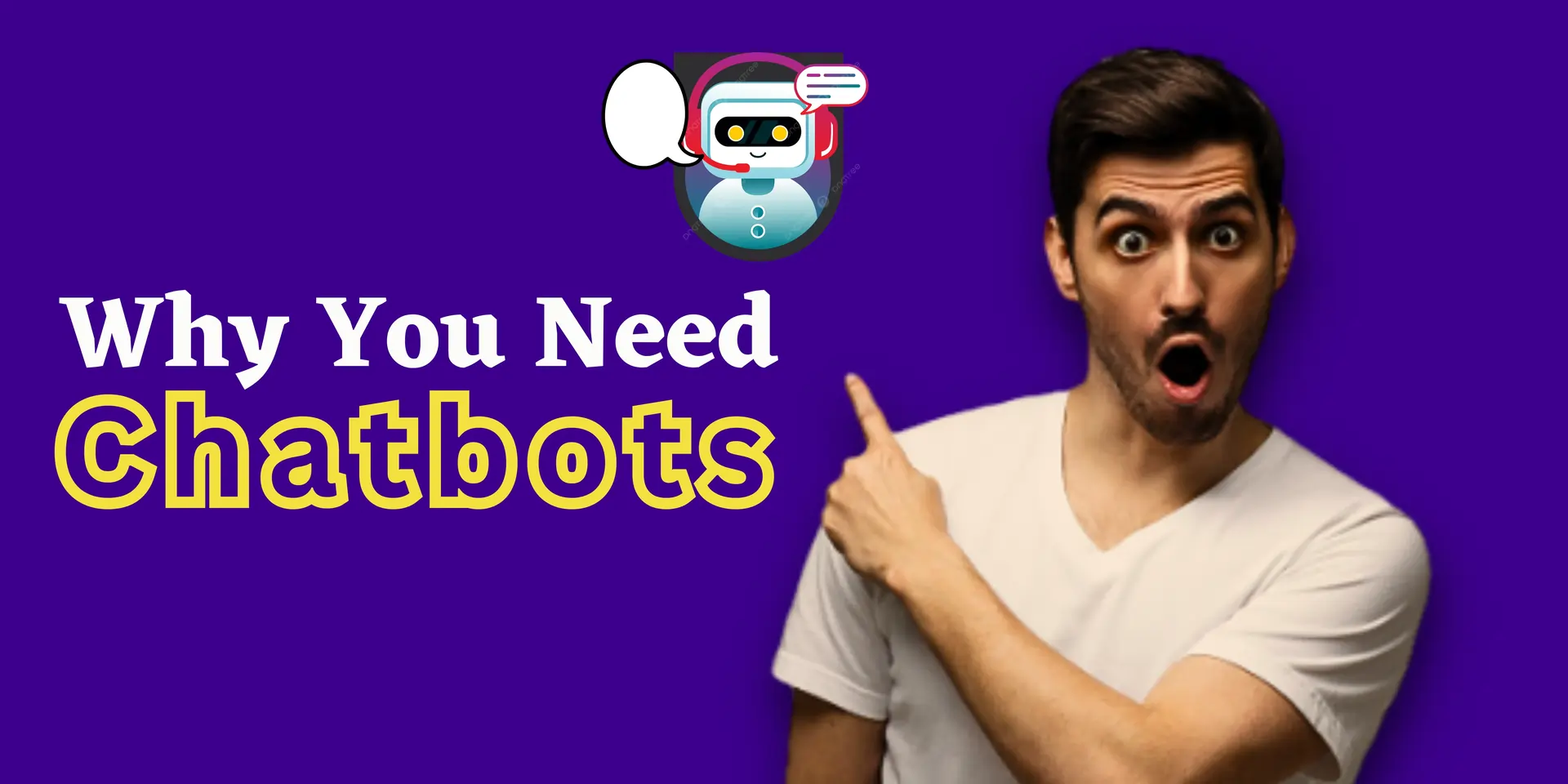 why-2 Chatbots